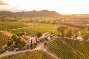 Gîte Vert dolive au milieu des vignes - Château Les Apiès