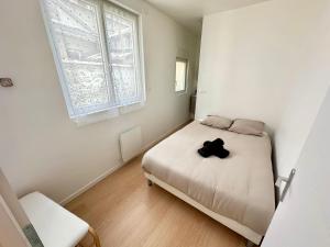 Appartement en rez de chaussée avec extérieur