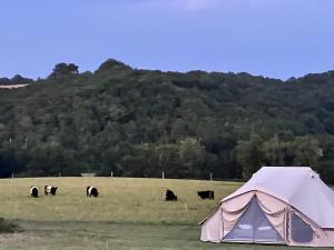 Glamping à la ferme LaBoduBo