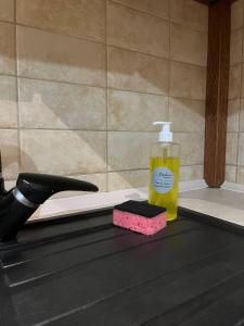 Balabana Apartments Lviv