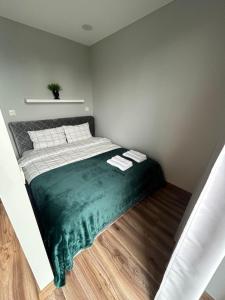 Cozy Studio with Balcony in Palanga