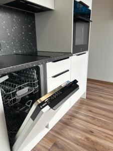 Cozy Studio with Balcony in Palanga