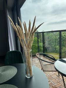Cozy Studio with Balcony in Palanga