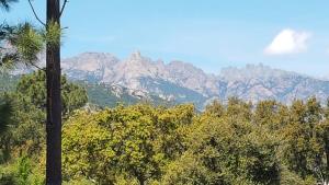 Clos Jeannette Villa 5 min de Sainte Lucie de Porto vecchio et de la plage de Pinarelle ainsi que des piscines naturelles du Cavu