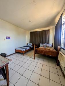 Green Gecko Pool Hostel and 3 Day Expedtion