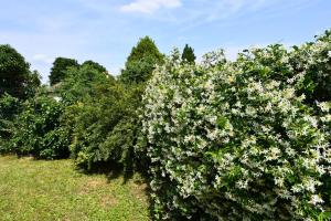 Melinas Wine Retreat