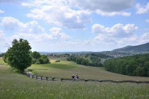 Appartements Horizons du Haut : photos des chambres