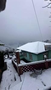 Maya Homestay & Cafe