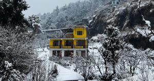 Firefly Hostel