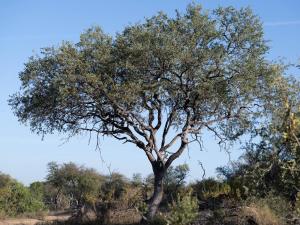 18 On The Hill, Greater Kruger Safari Lodge
