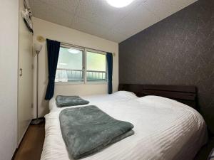 カサデューク平岸45