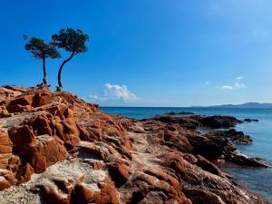 Appartements Appartement 2-4 pers vue mer proche port : photos des chambres