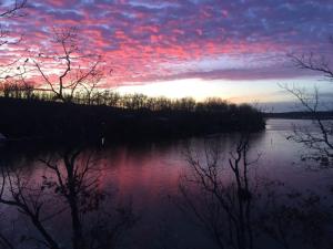 Treetop Village-Treetop Escape 102