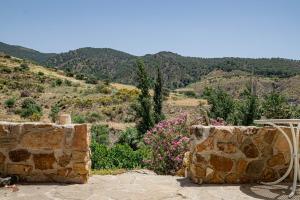 El bufon de la corte