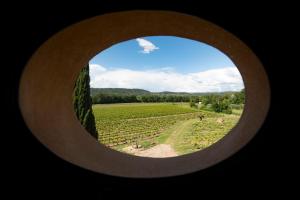 Appartements Gite Mimosa au milieu des vignes - Chateau les Apies : photos des chambres