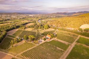 Appartements Gite Mimosa au milieu des vignes - Chateau les Apies : photos des chambres