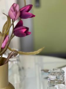 Luxury Nasr City Apartment Close to City Center and Shopping Malls