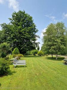 LOasi Amena - Camera Salvia