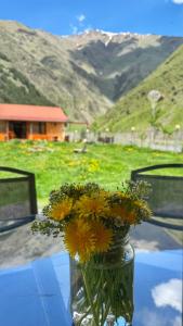 Januka Garden at Sno