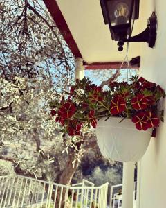 Sunny-hill apartment