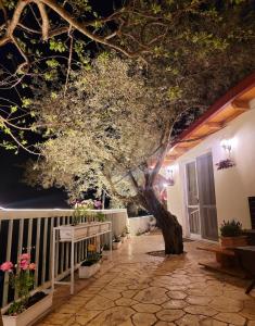 Sunny-hill apartment