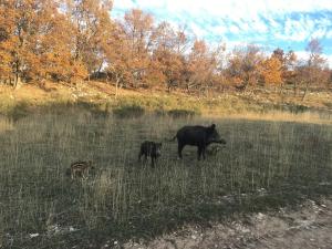 La Bastide du Père Marius