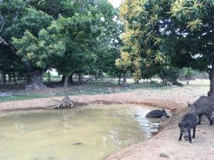 La Bastide du Père Marius