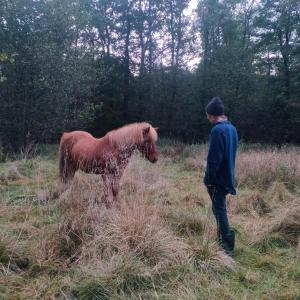 Eget rum i unik 70-talsvilla