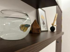 شقق فلورا وصول ذاتي