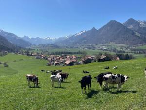Au Chant des Grillons - studio ensoleillé en Gruyère