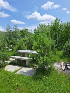 Квартира річка Стир