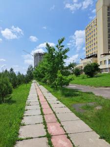 Квартира річка Стир