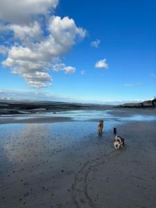 Maison de pêcheur petite vue mer centre village
