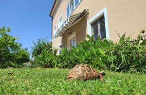 BOŽICA House with apartments