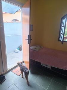 Viver a paz, praia & home office rua Nelson Pecegueiro do Amaral, 267, costa azul