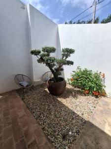 Cosy Guest House - Villa das Alfarrobas