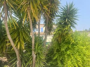 Appartements La Bastide Bleue La Ciotat : photos des chambres