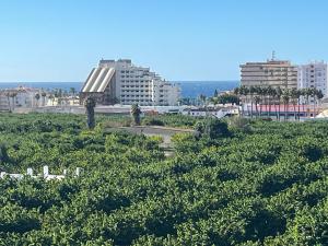 Apartamento en Almuñécar con piscina comunitaria