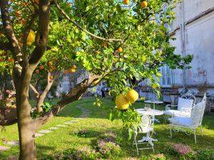 Relais Palazzo Cacace