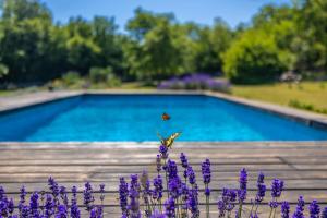 Holiday house GARICA 