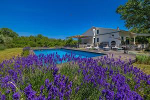 Holiday house GARICA 