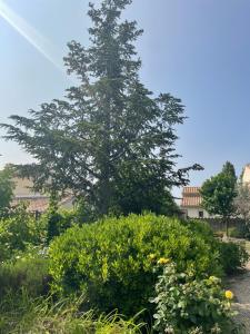 B&B / Chambres d'hotes L-appart The - Charme discret au coeur des Alpilles : photos des chambres