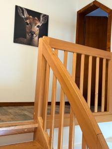 Maisons d'hotes Gites Hassenforder : photos des chambres