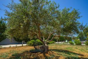 Nostra Terra Villa, 2-acre Secluded Nature Escape with Heated Pool, By ThinkVilla