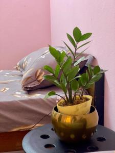 2BHK Home AC bed room First floor Meerpet