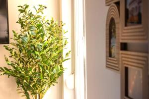 Summer - Centre-Ville Gare - Spacieux - Netflix