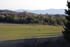 Le Moulin aux Lavandes