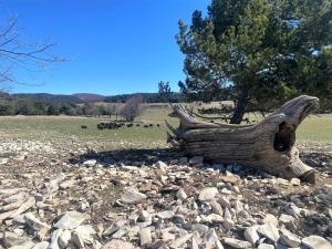 Appartements Le Moulin aux Lavandes : photos des chambres