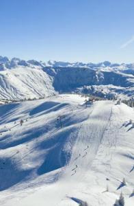 Appartements NEW Appartement COEUR DU VILLAGE : photos des chambres