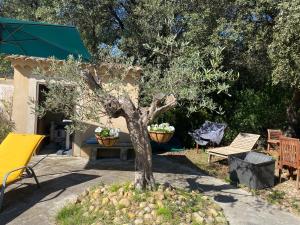 Maisons d'hotes Petite Maison provencale : photos des chambres